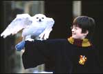 A still from Harry Potter and the Sorcerer's Stone