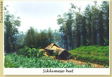 Sikkimese hut