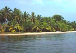 Backwaters adjacent to the resort